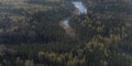 В Ленинградской области появится сафари-парк