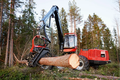 Эффективное лесопользование в 47 регионе