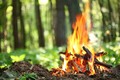 Что делать если произошел лесной пожар?