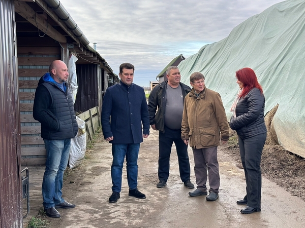 По предприятиям Кировского района  По предприятиям Кировского района