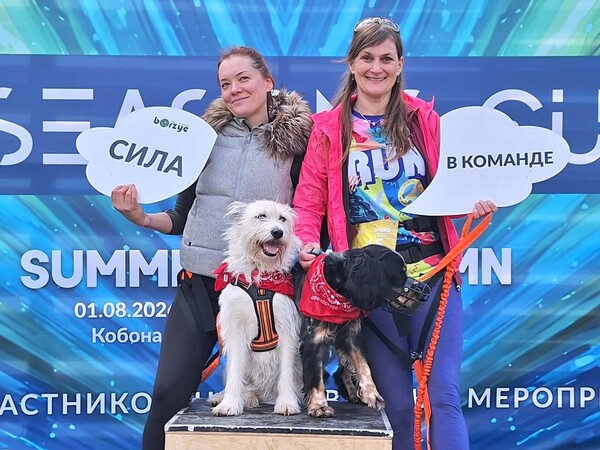 Лапа в лапу с победой! Лапа в лапу с победой!